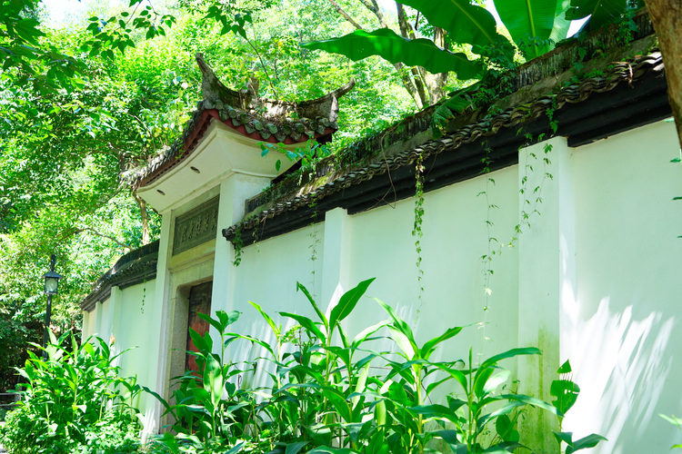 杭州西湖竹涧庭民宿踏春之旅,杭州民宿客栈里的美景攻略