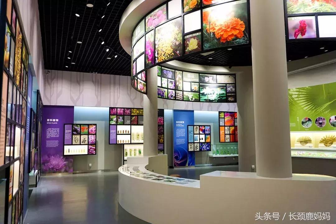 带孩子去北京不建议去哪,带孩子去北京没预约去哪玩