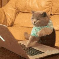 你的笑容由我来守护是什么歌,你的笑容由我守护完整版