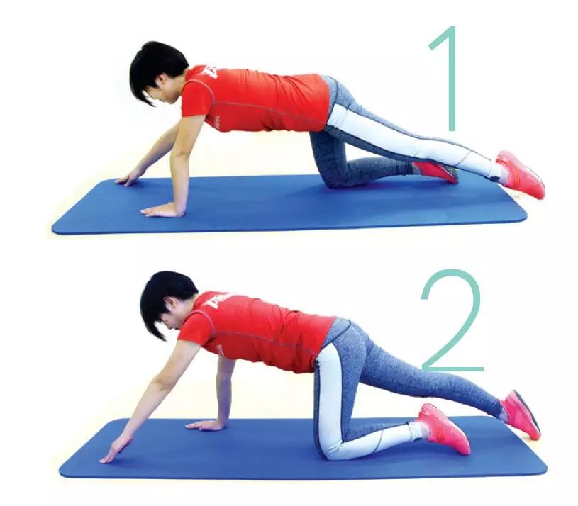 检查子宫下垂盆底肌分离能自愈吗,子宫下垂腹直肌分离三指