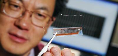 王中林获得什么奖,纳米王中林最新消息