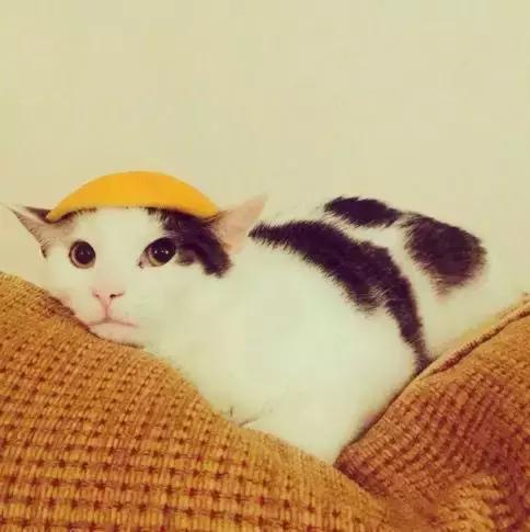 心理学家告诉你：假笑究竟是怎么一回事？