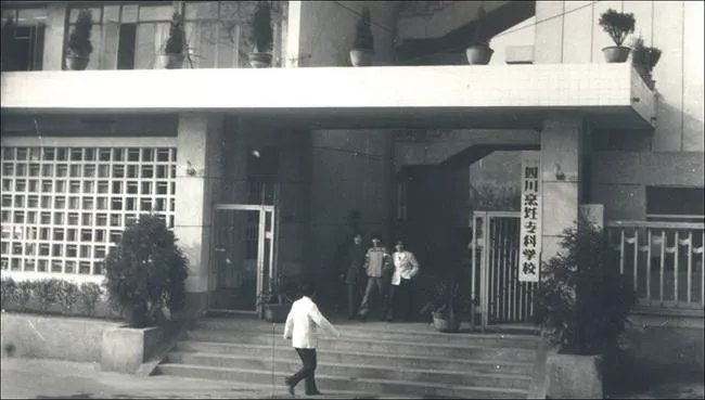 成都冷知识100例,成都冷知识20条