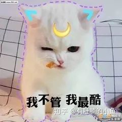 猫咪没有精神老是睡觉是怎么回事,猫咪睡觉咕咕咕的声音是怎么回事