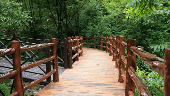 西安出发4小时避暑胜地,西安熊猫谷旅游