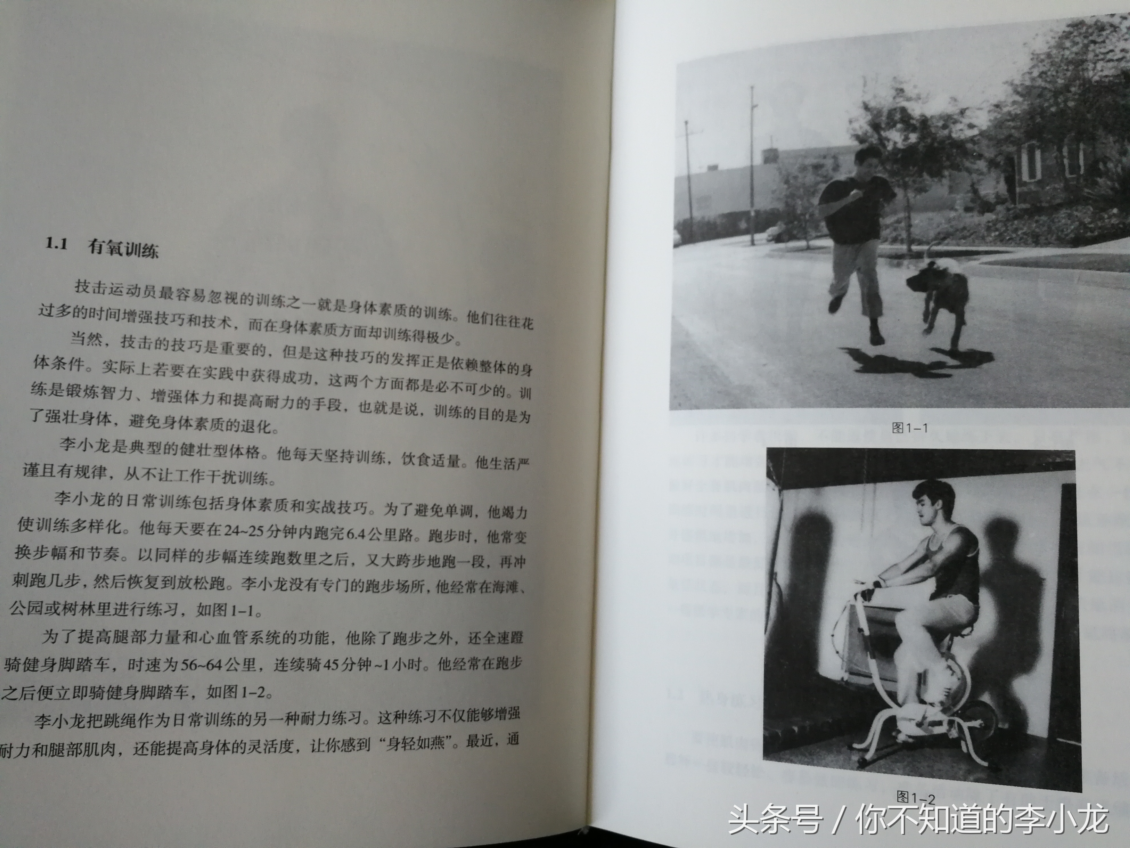 李小龙截拳道致敬李小龙,李小龙传奇李小龙截拳道多少集