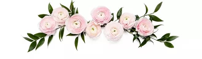 为了买一款合适的太阳镜,你一定要学习这篇英文科普