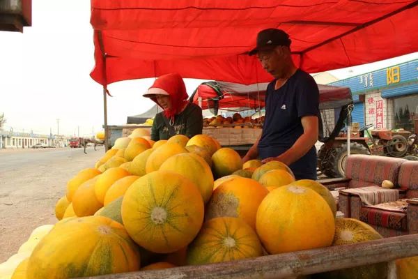 走遍天涯海角忘不了歌名叫什么,走遍天涯海角忘不了原唱