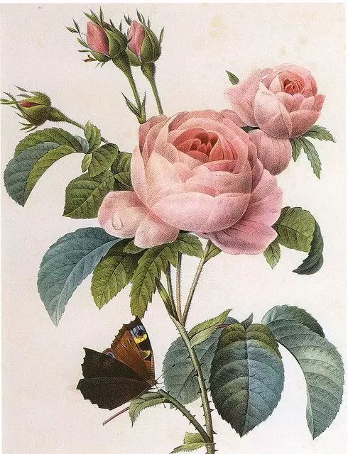 如何领略葡萄酒的魅力,如何品尝葡萄酒的果香