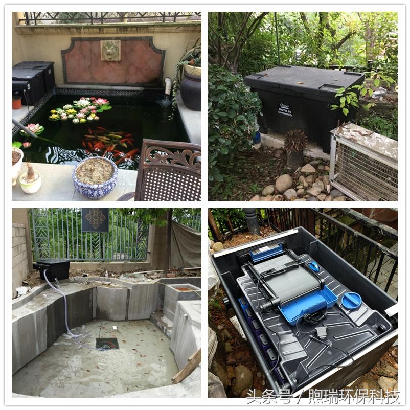 锦鲤鱼池需要什么过滤设备好,锦鲤鱼池过滤设备哪种好