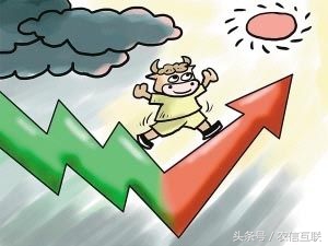 山东玉米价格持续下跌!豆粕价格全面上涨,或超预期?