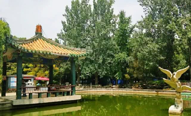 北京哪些公园对18岁以下免费,北京60岁以上老人免费公园明细