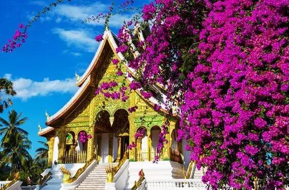 东南亚冷门大巴价格,中国哪个市到泰国最便宜