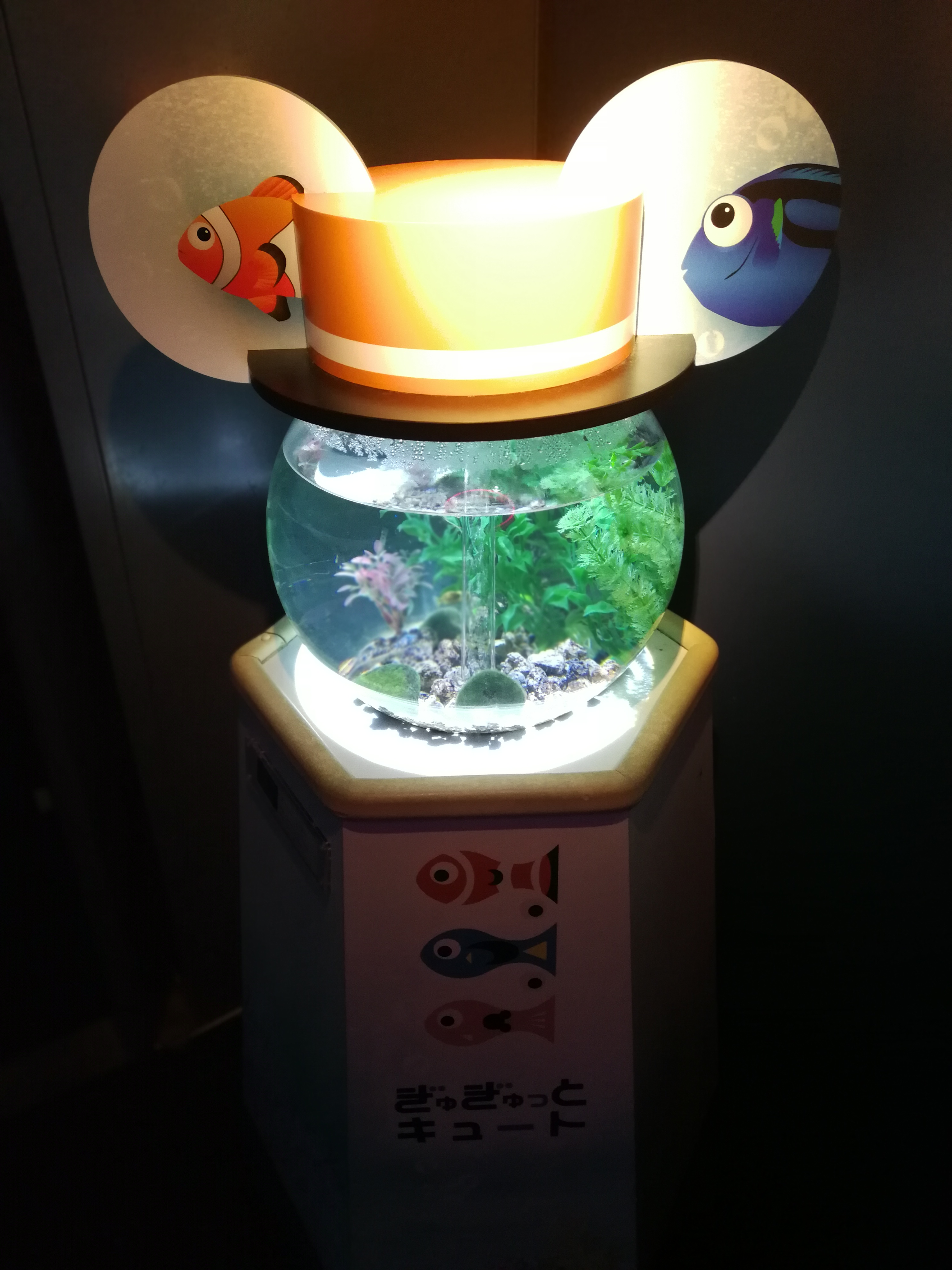 日本乐高亲子游,日本乐高亲子游玩中心在哪