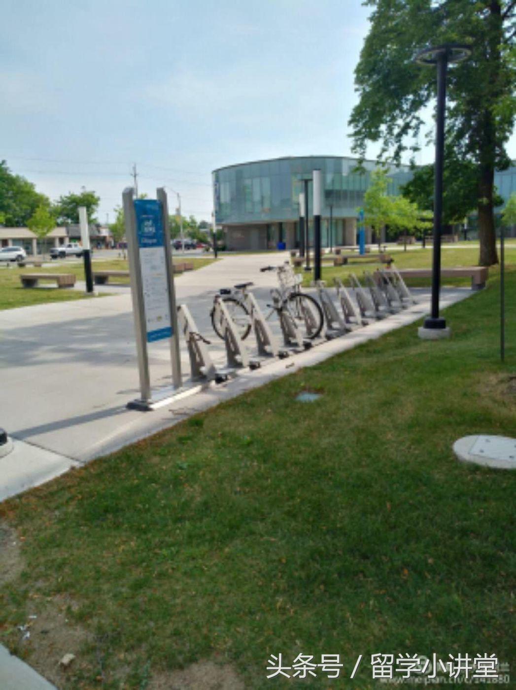 在加拿大长期生活是什么体验,在加拿大生活快乐吗