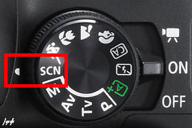 有趣的相机视频教程,佳能相机使用技巧大全