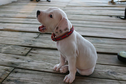 有趣的相机视频教程,佳能相机使用技巧大全