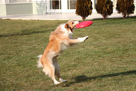 有趣的相机视频教程,佳能相机使用技巧大全