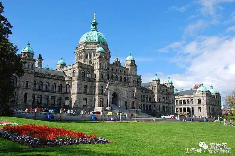 浸入式体验北美教育，安妮花2018童子军夏令营跨国行记