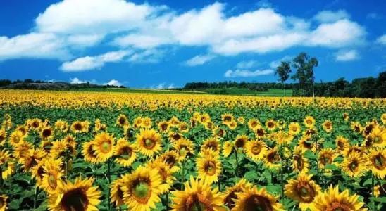 带你看广州最美的夜景,带你看广州一线江景