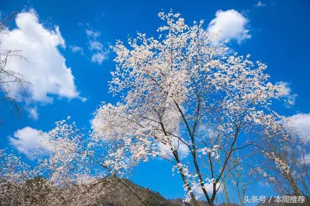 乡愁,下一站,辰溪!你要跟我一起吗?