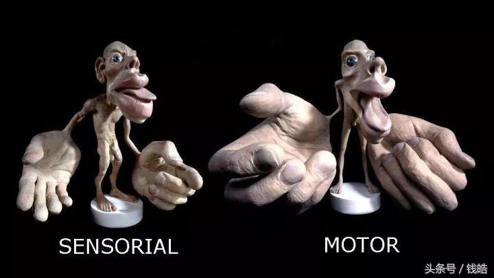 搜狗：“人与信息”交互进化论