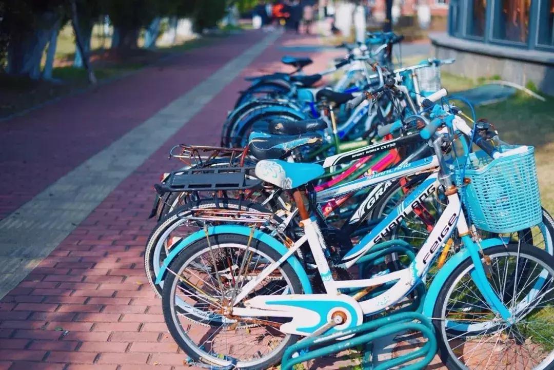 要多去旅行而非只是旅游,去旅行而不是旅游