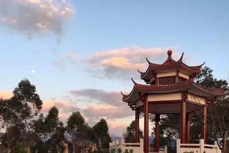 你想了解的全日制专升本问题都在这里!|水院招生季