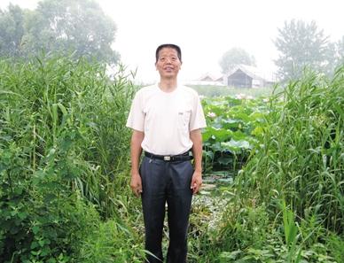 唐山古银杏树,唐山丰润古树