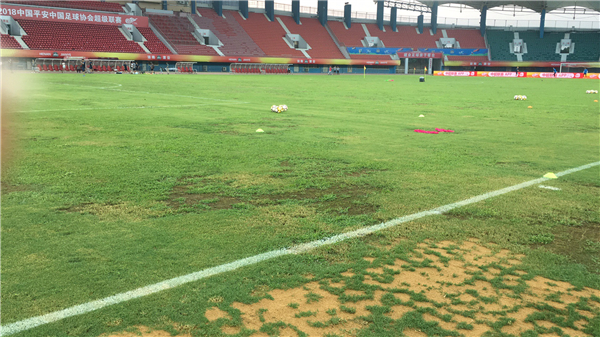 河南建业足球草皮,河南建业草皮