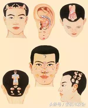 针灸按摩全息图（收藏版）