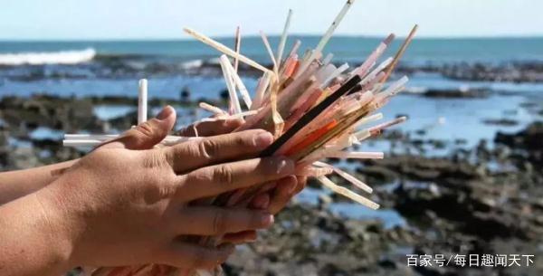 吸管被嫌弃,被嫌弃的吸管