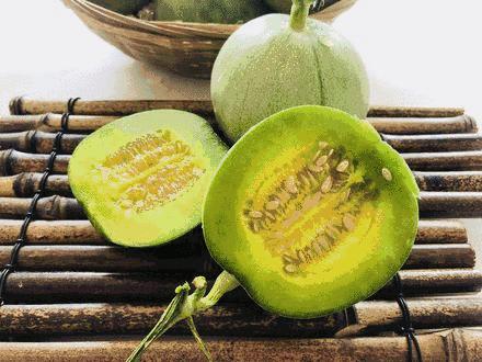 甜瓜｜伊丽莎白、金蜜、白兔、京玉、鲁厚甜1号、蜜兰、流星……