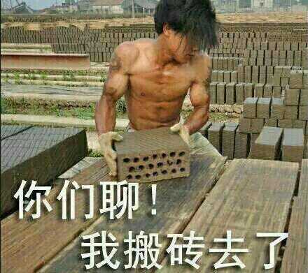 算了我要去搬砖了表情包,你们继续聊我搬砖去了表情包