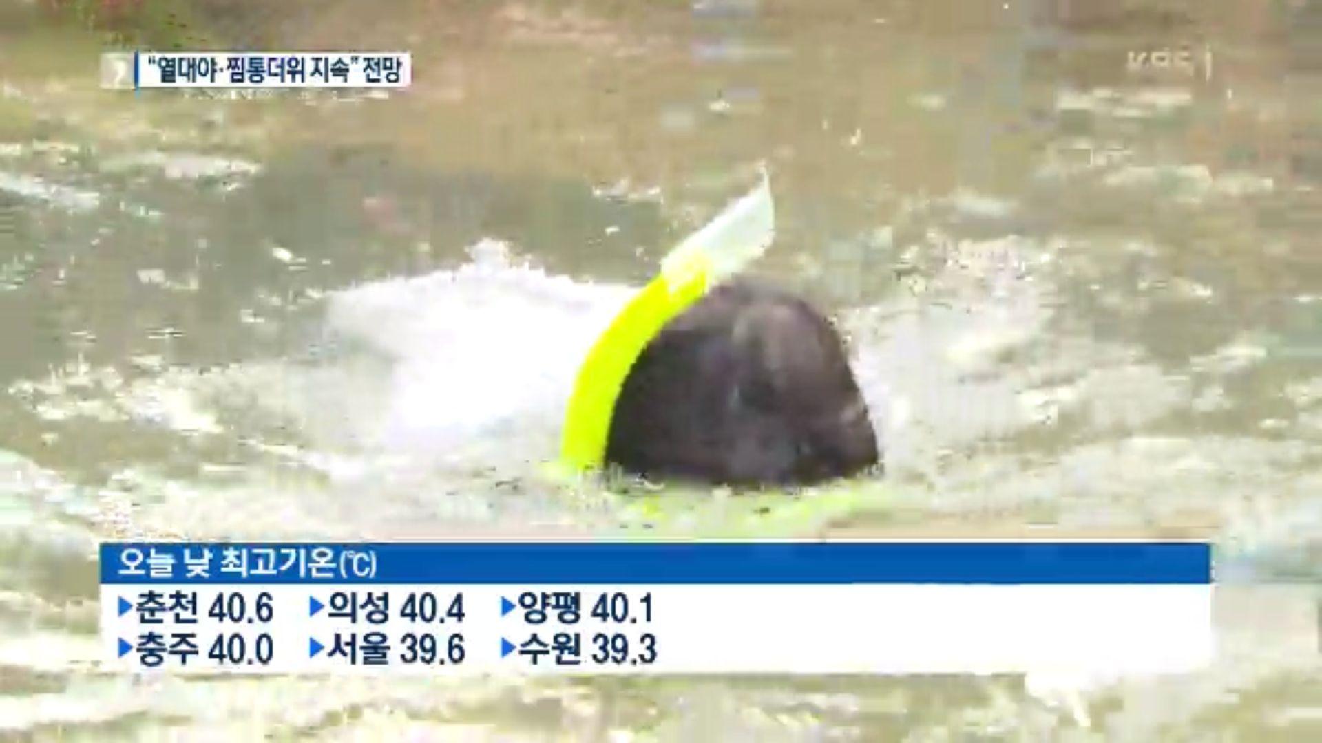 最高41度气温！韩国迎来史上最酷热一日，首都首尔逼近40度！