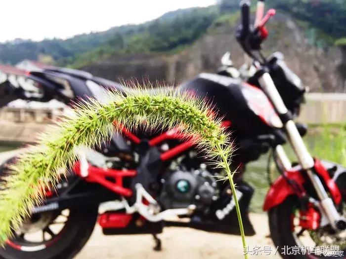 小暴龙改装方圆灯,小暴龙改装轮胎视频