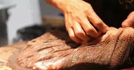 牛蛙火锅和毛肚火锅哪个受欢迎,魔都火锅店