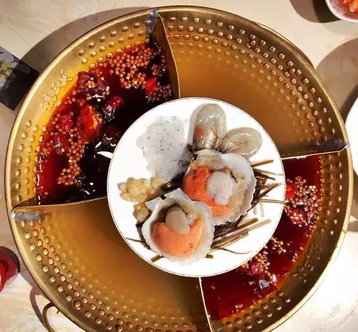 牛蛙火锅和毛肚火锅哪个受欢迎,魔都火锅店