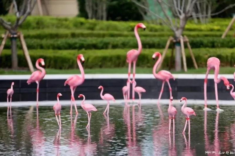 暑期去山东龙口,拍ins风网红大片,看没有游客蔚蓝大海!