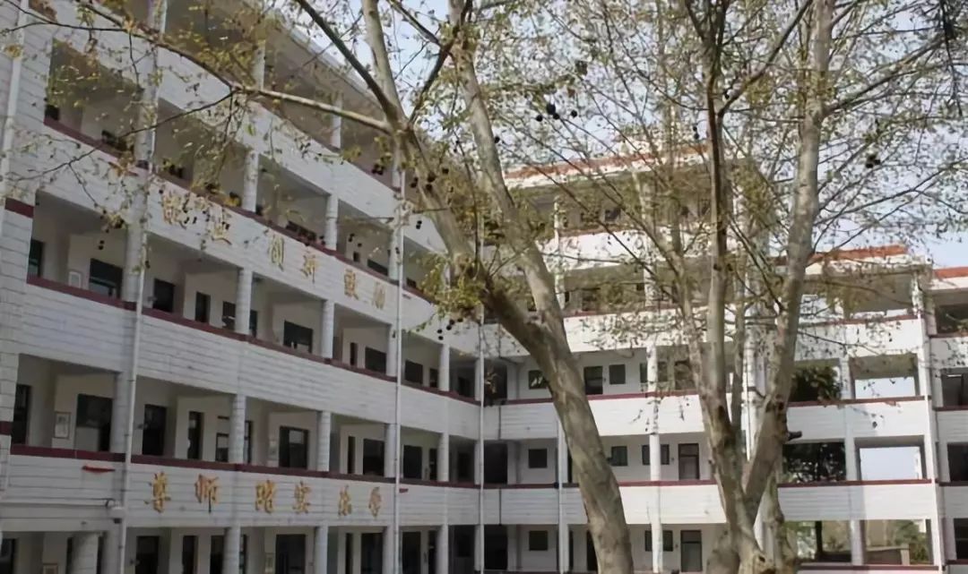 再见小学图片,再见小学视频