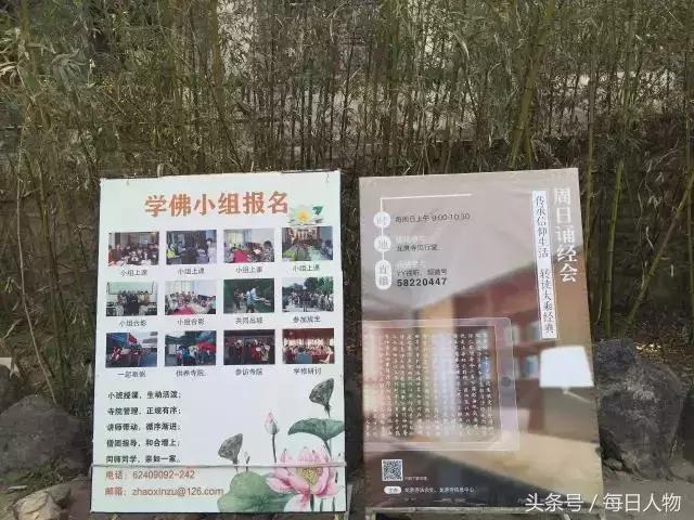 亲身探访龙泉寺,龙泉寺的高学历僧人都怎么样了