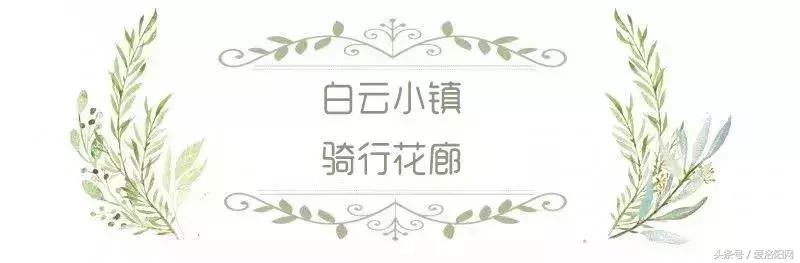 嵩县这条鲜为人知的绝美路线，隐秘在山林间，高速免费不容错过！