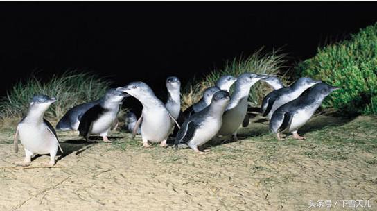 这个冬天让我们相约南半球的澳洲,旅行我的澳洲之旅