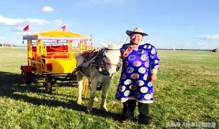 醉美草原乡村文化节,乡村旅游张家口