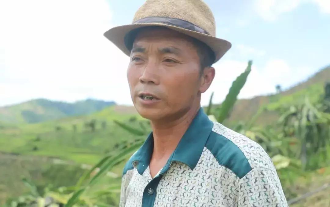 贵州关岭火龙果批发,火龙果深加工产品