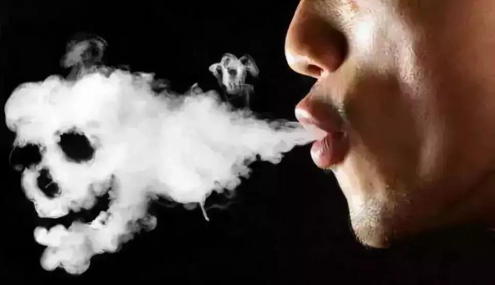 没遇上卵子的精子，最后都去哪儿了？