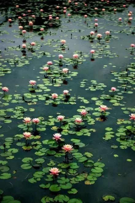 中医音乐疗法真实吗,中医养生音乐加长版