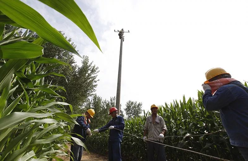 高温送清凉致敬烈日下的坚守 (致敬高温下坚守的你们)