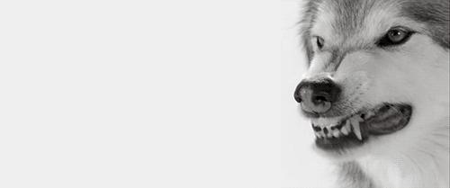 超过5条说明你该旅游了,超过3条就证明你老了