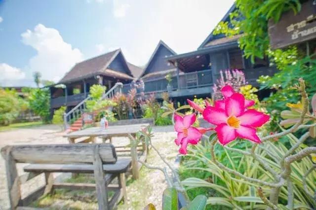 境外旅游自由行签证,出国旅游签证自由行攻略